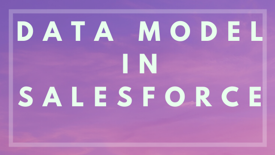 Data Model In Salesforce