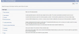 Roll-up summary fields