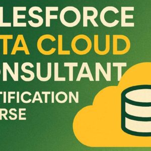 Salesforce Data Cloud Consultant Course